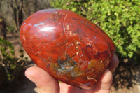 Polished Red Jasper Standing Free Forms x 4 From Madagascar