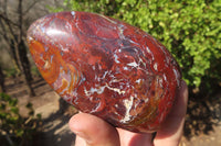 Polished Red Jasper Standing Free Forms x 4 From Madagascar