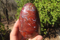 Polished Red Jasper Standing Free Forms x 4 From Madagascar