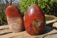 Polished Red Jasper Standing Free Forms x 4 From Madagascar