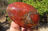 Polished Red Jasper Standing Free Forms x 4 From Madagascar