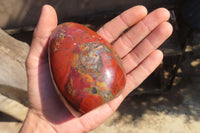 Polished Red Jasper Standing Free Forms x 4 From Madagascar