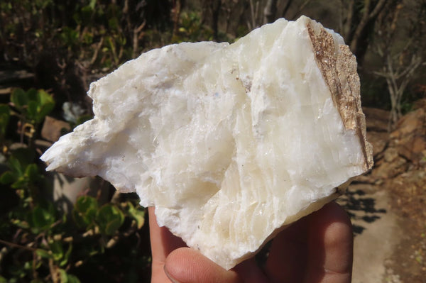 Natural White Dendritic Opal Specimens x 12 From Madagascar