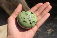 Polished Leopard Stone Free Forms x 6 From Inyanga, Zimbabwe