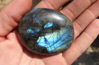 Polished Labradorite Galet / Palm Stones x 12 From Tulear, Madagascar