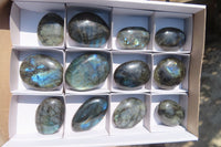 Polished Labradorite Galet / Palm Stones x 12 From Tulear, Madagascar