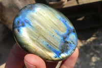 Polished Labradorite Galet / Palm Stones x 12 From Tulear, Madagascar