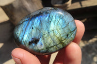 Polished Labradorite Galet / Palm Stones x 12 From Tulear, Madagascar