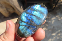 Polished Labradorite Galet / Palm Stones x 12 From Tulear, Madagascar