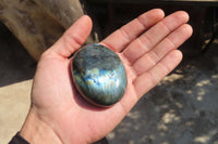 Polished Labradorite Galet / Palm Stones x 12 From Tulear, Madagascar