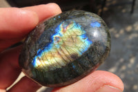 Polished Labradorite Galet / Palm Stones x 12 From Tulear, Madagascar