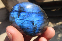 Polished Labradorite Galet / Palm Stones x 12 From Tulear, Madagascar