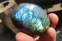 Polished Labradorite Galet / Palm Stones x 12 From Tulear, Madagascar