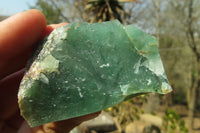 Natural Jade Cobbed Specimens x 24 From Swaziland