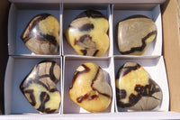 Polished Septerye Hearts x 6 From Mahajanga, Madagascar