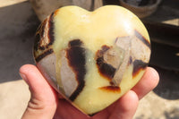 Polished Septerye Hearts x 6 From Mahajanga, Madagascar