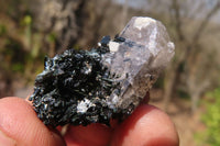 Natural Aegirine With Black Schorl Specimens x 30 From Zomba, Malawi