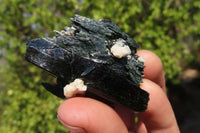 Natural Aegirine With Black Schorl Specimens x 30 From Zomba, Malawi