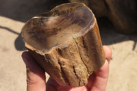 Polished Petrified Wood Branch Pieces x 4 From Gokwe, Zimbabwe