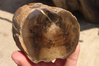 Polished Petrified Wood Branch Pieces x 4 From Gokwe, Zimbabwe