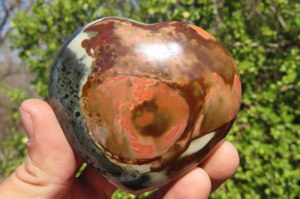 Polished Polychrome Jasper Hearts x 6 From Madagascar