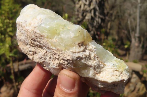 Natural Dendritic Opal Specimens x 12 From Namibia