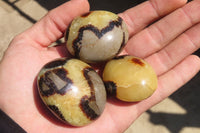 Polished Septerye Galet / Palm Stones x 12 From Mahajanga, Madagascar