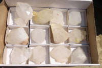 Natural Castle Quartz Single Crystals x 12 From Madagascar