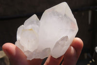 Natural Castle Quartz Single Crystals x 12 From Madagascar