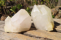 Natural Castle Quartz Single Crystals x 12 From Madagascar