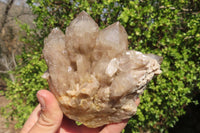 Natural Smokey Quartz Clusters x 3 From Luena, Congo