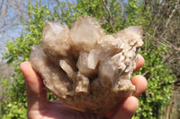 Natural Smokey Quartz Clusters x 3 From Luena, Congo