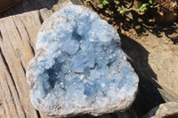 Natural Celestite Geode x 1 From Sakoany, Madagascar