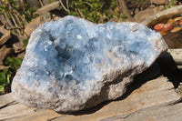 Natural Celestite Geode x 1 From Sakoany, Madagascar