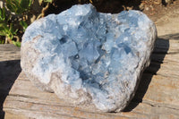 Natural Celestite Geode x 1 From Sakoany, Madagascar