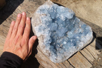 Natural Celestite Geode x 1 From Sakoany, Madagascar