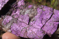 Natural Purpurite Specimens x 3 From Erongo, Namibia