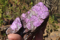 Natural Purpurite Specimens x 3 From Erongo, Namibia