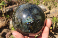 Polished Labradorite Spheres x 3 From Tulear, Madagascar