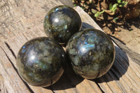 Polished Labradorite Spheres x 3 From Tulear, Madagascar