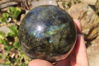 Polished Labradorite Spheres x 3 From Tulear, Madagascar