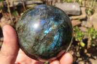 Polished Labradorite Spheres x 3 From Tulear, Madagascar