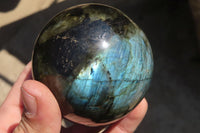 Polished Labradorite Spheres x 3 From Tulear, Madagascar