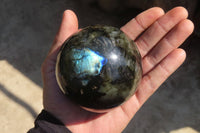 Polished Labradorite Spheres x 3 From Tulear, Madagascar