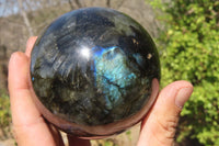 Polished Labradorite Spheres x 3 From Tulear, Madagascar