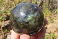 Polished Labradorite Spheres x 3 From Tulear, Madagascar