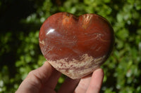 Polished Red Podocarpus Petrified Wood Items x 5 From Madagascar