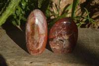 Polished Red Podocarpus Petrified Wood Items x 5 From Madagascar