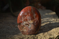 Polished Red Podocarpus Petrified Wood Items x 5 From Madagascar