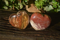 Polished Red Podocarpus Petrified Wood Items x 5 From Madagascar